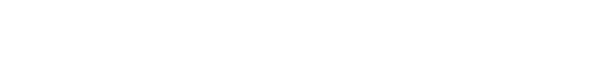 Network School